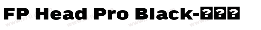 FP Head Pro Black字体转换